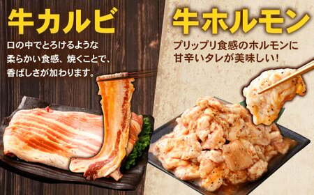お試し！【なぎビーフ入り】 バラエティパック （ 牛ハラミ ・ 豚ハラミ ・ タレ漬け牛カルビ ・ タレ漬け牛ホルモン ） 各約250g×1パック、なぎビーフ 約300g 計約1.3kg ハラミ カルビ 牛カルビ ホルモン 牛ホルモン タレ漬け たれ漬け 牛肉 豚肉 お肉 味付き 味付き肉 岡山県 奈義町 冷凍