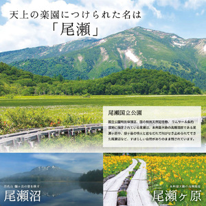 いい旅かたしな おもてなし宿泊チケット　5冊