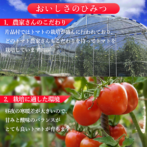 片品村産トマト　1箱