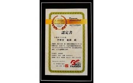 【 令和7年産米 】山香ゆうきの会の米 10kg（精米：なつほのか） 10kg 米 ＜002-011＞