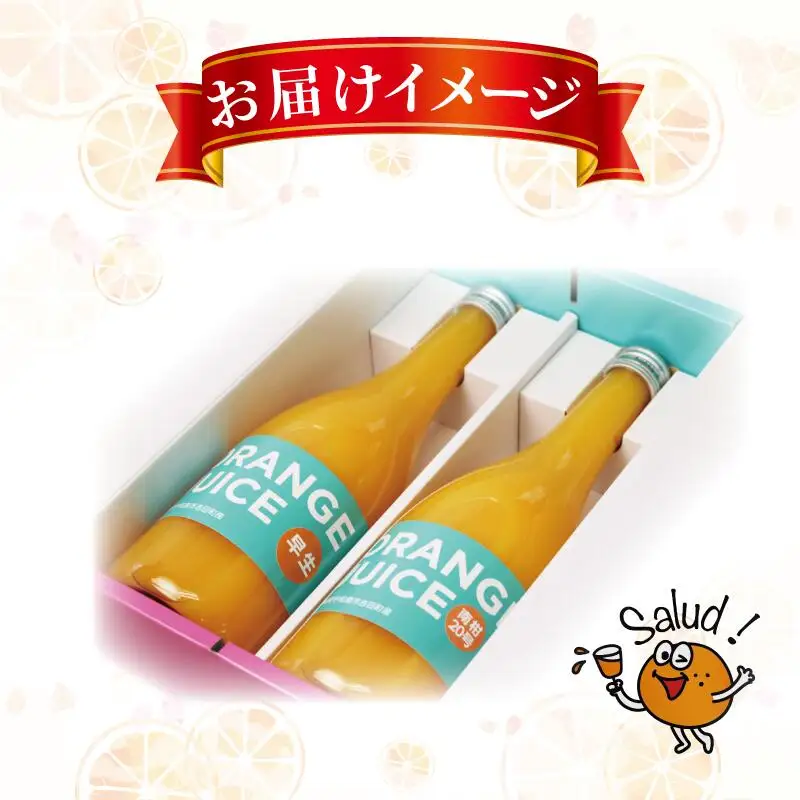 ジュース 元気がでる みかん 100％ ストレート ジュース 早生 南柑20号 各720ml × 2本 セット ORANGE Salud! オレンジサルー わせ 南柑 温州みかん みかんジュース 100%ジュース 蜜柑 mikan フルーツ ジュース 果汁 飲料 果物 くだもの 数量限定 国産 愛媛 宇和島 H010-196001