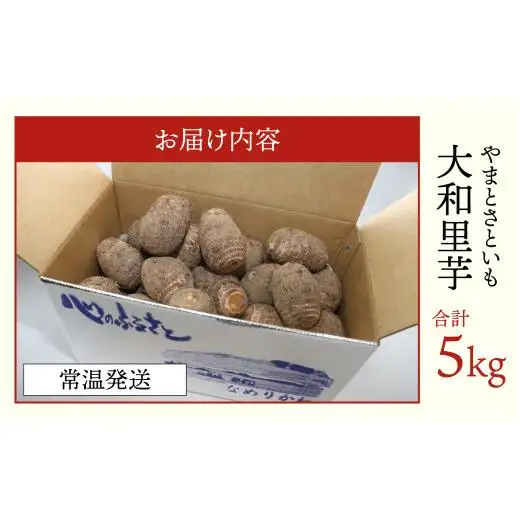 【先行予約】さといも 大和里芋（やまと）5kg【2026年11月中旬より順次発送予定】 | 野菜 芋 イモ 根菜 いも 煮物 旬 味覚 秋