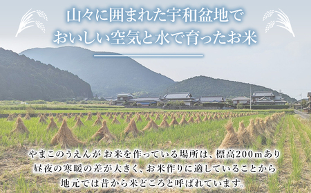 ＜令和7年産 ちほみのり 玄米 25kg＞げんまい 米 こめ コメ ご飯 穀物 25キロ 産地直送 愛媛県産 西予市産 特産品 やまこのうえん 愛媛県 西予市【常温】『2025年9月上旬より順次出荷予定』UYN0003