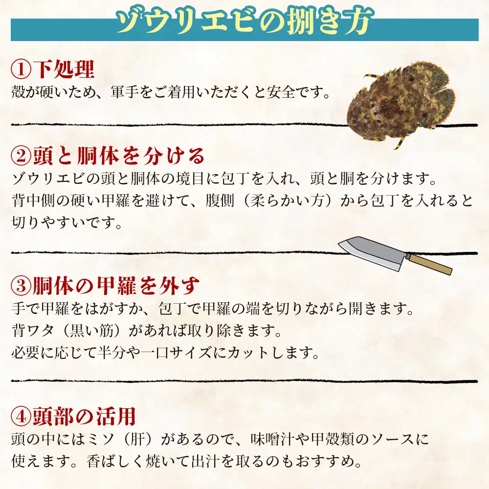 活 ゾウリエビ 約200～250g(1尾～2尾) 幻のエビ eb-0053