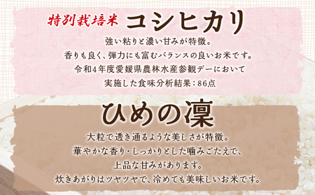 ＜令和7年産 西予市宇和町産 特別栽培米コシヒカリ・ひめの凜 食べ比べセット（各約2kg）＞ お米 コメ こめ 白米 精米 単一原料米 穀物 こしひかり ひめのりん 朝食 低農薬 特産品 三好フク 愛媛県【常温】『2025年11月中旬より順次出荷予定』UMH0009