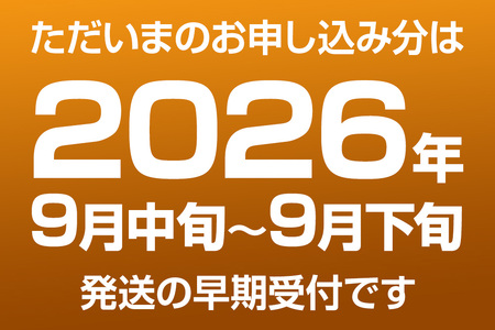 《先行受付》男鹿の梨 豊水 約3kg 6玉 梨 秋田県 男鹿市 ＜めぐみ農園＞ 2026年9月中旬より発送