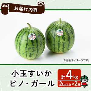 【0165005a】《2027年4月以降発送》小玉すいか・ピノ・ガール(2玉・計4kg以上) 果物 果実 フルーツ スイカ ピノガール 数量限定 期間限定 【宮内農園】