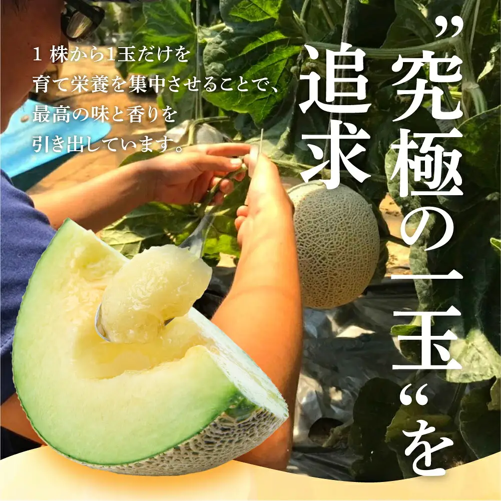 温室マスクメロン 2玉 訳あり 豊橋 メロン