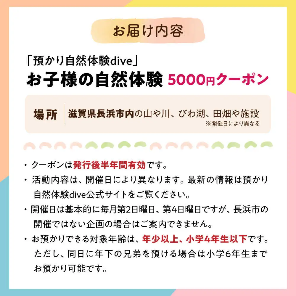 お子様の自然体験5000円クーポン「預かり自然体験dive」[AQAA003] 体験 子ども体験 自然
