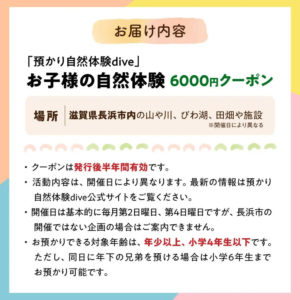 お子様の自然体験6000円クーポン「預かり自然体験dive」[AQAA004] 体験 子ども体験 自然