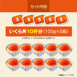 北海道産 いくら 内容量 100g × 5箱 醤油漬け 新鮮 瞬間凍結 ガスパック方式 できたて 色 香り 味 本場 いくら丼 魚卵 海鮮 自然解凍 簡単 夕食 晩ごはん 小分け パック 便利 冷凍 食品 お取り寄せ お取り寄せグルメ 北海道 函館市 送料無料_HD117-033