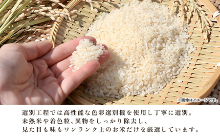 新米＜令和8年産 コシヒカリ 3kg＞国産 愛媛県産 宇和町産 宇和米 こしひかり お米 米 コメ こめ 白米 精米 ご飯 新鮮 3キロ 特産品 大塚農園 愛媛県 西予市【常温】『2026年10月・11月頃から順次発送予定』UOT0001