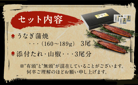 九州産 うなぎ 蒲焼 上 3尾 (1尾あたり160～189g)【順次発送】