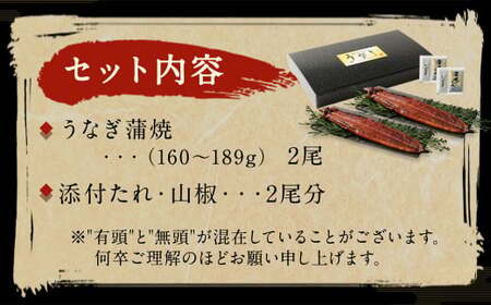 九州産 うなぎ 蒲焼 上 2尾 (1尾あたり160～189g)【順次発送】