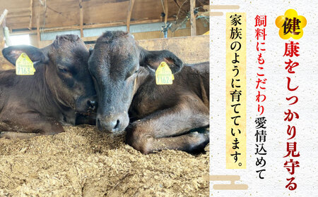 五島列島産 黒毛和牛 すき焼き用 赤身 500g 五島市/山口Farm[PGJ009]