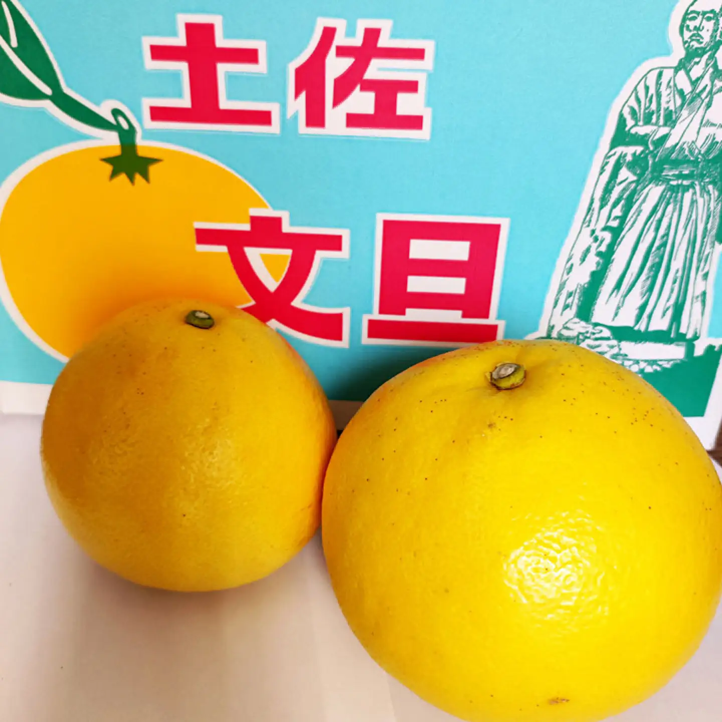 【先行予約】土佐文旦 小玉 家庭用 約3kg （M-L：7-9玉入り） 文旦 ぶんたん ブンタン 柑橘 フルーツ デザート 果物 ご当地 人気 名産＜2027年1月下旬から順次発送＞【玉木農園】 [BQAJ006]