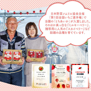 【定期便】栃木のいちご3銘柄（とちあいか　とちおとめ　スカイベリー）定期便 計3ヶ月　270g×2パック ※2027年1月～発送
