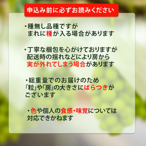 種なしピオーネ 約2kg 【2026年8月下旬頃から順次発送】 | ピオーネ ぶどう 【VEG100】