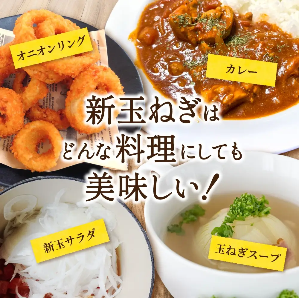 和歌山県産新玉ねぎ約10kg　Lサイズ 約25個入り　こだわり農家厳選！【 2027年4月末頃〜2027年6月中旬にかけて順次発送】人気 おすすめ たまねぎ 玉ねぎ 玉葱 タマネギ オニオン スープ サラダ 国産 野菜 新鮮 ビッグサイズ 大きい BBQ【kgr033】