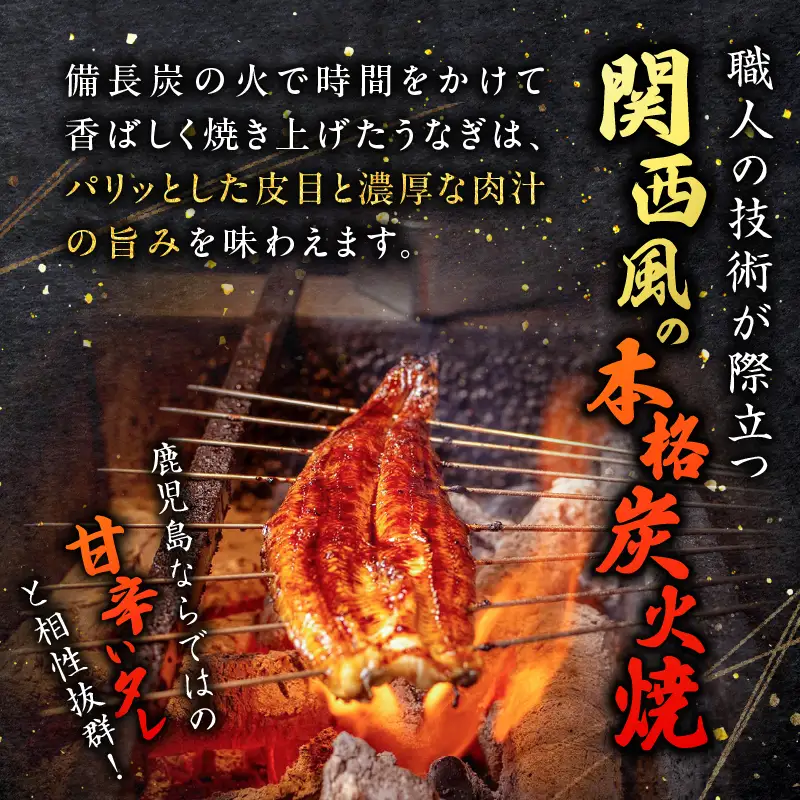 職人 が 丁寧 に 仕上げる 本格 炭火焼 鹿児島県産うなぎ の 蒲焼き 2尾 K282-001_01 魚 惣菜 総菜 冷凍