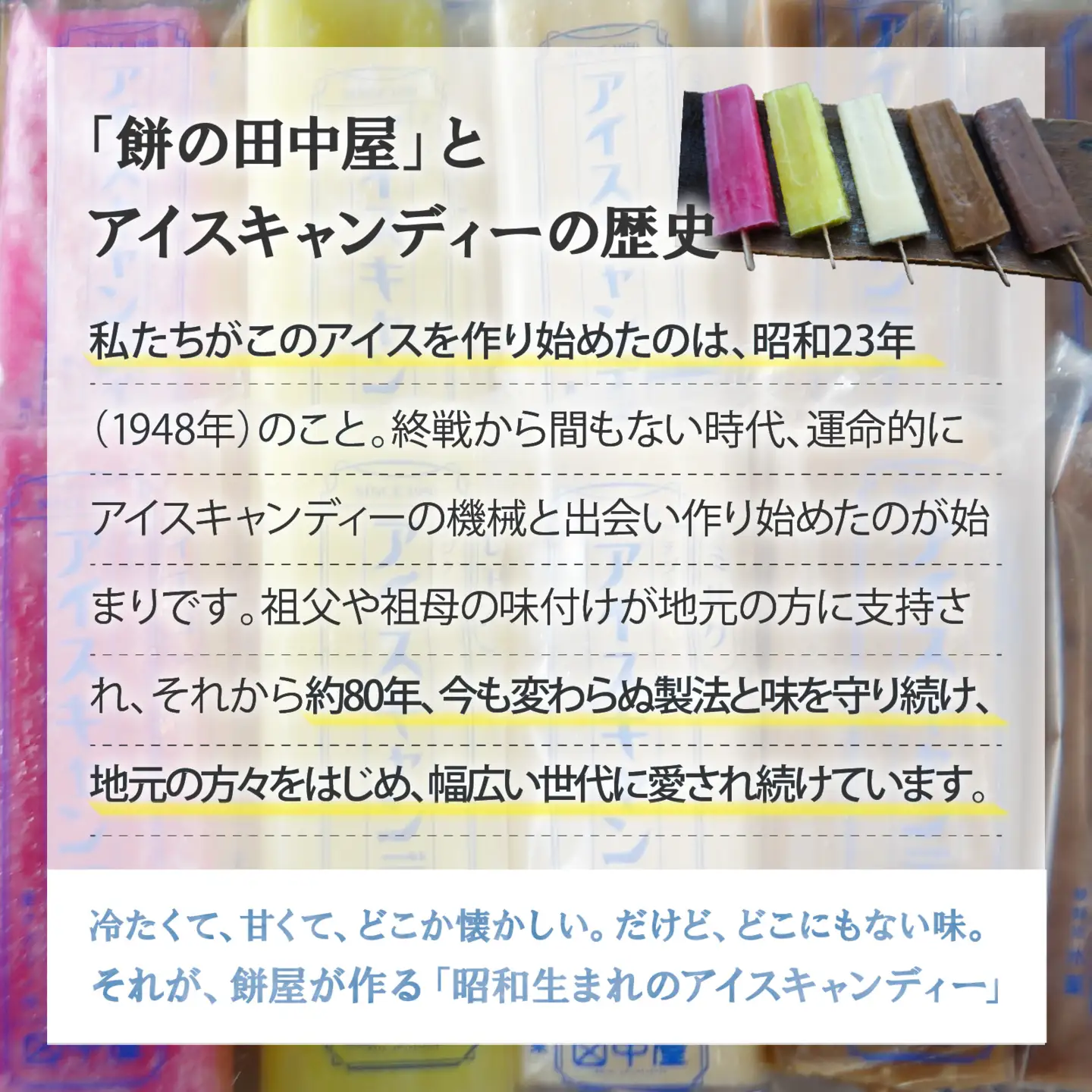 昭和生まれの手作りアイスキャンディ（合計10本）[A-184002] / アイス