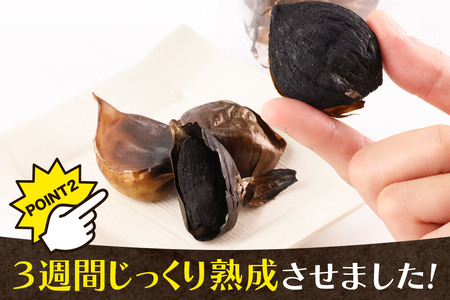 ジャンボ黒にんにく 500g（250g×2パック） ＜簡易包装＞ 秋田県仙北市産