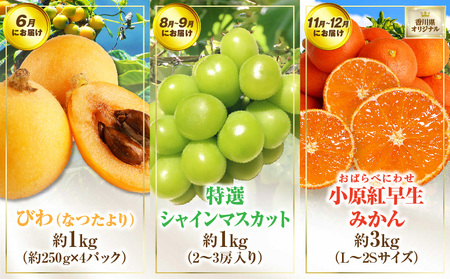 さぬき旬のフルーツ満足 5回定期便 | 果物 フルーツ 青果 青果物 いちご みかん シャインマスカット びわ さぬきひめ 小原紅早生みかん マスカット なつたより 不知火 旬の果物 季節の果物 贈答 贈り物 ギフト 化粧箱 取り寄せ 香川県 三木町 送料無料 |_mk006-t016