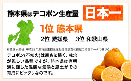デコポン 訳あり 約2kg デコポン 熊本