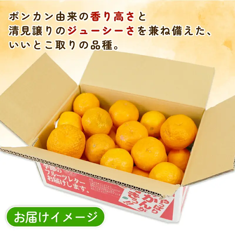 訳あり はるみ 8 ～ 9kg 誉農園 訳あり 宇和島 B010-138012