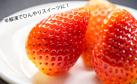 いちご 富良野産 完熟冷凍 いちご【1kg】【冷凍】