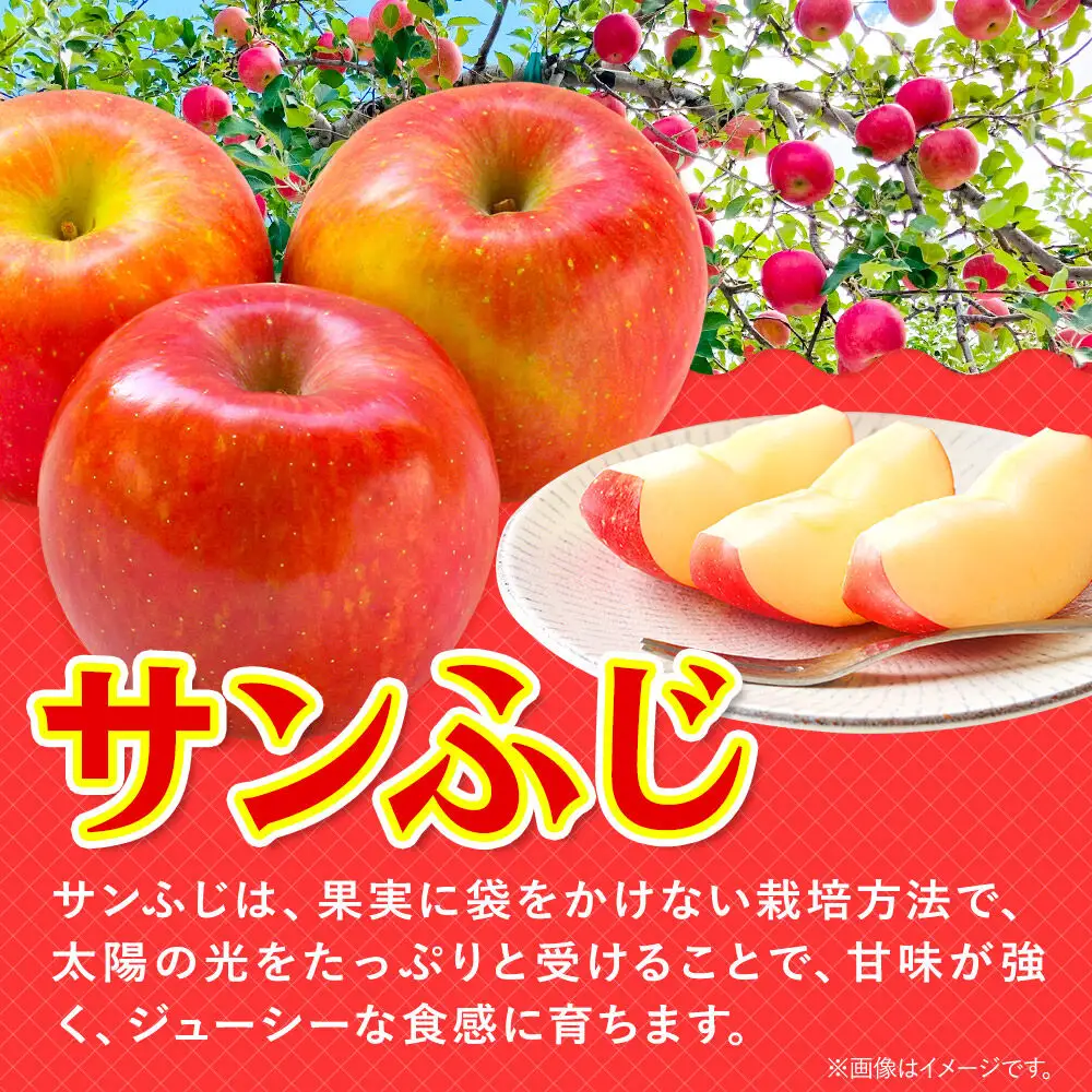 【27年3月発送】りんご サンふじ・王林 詰め合わせ【贈答用】約5kg 糖度13度以上 青森県 弘前市