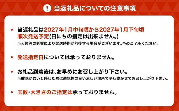 令和8年熊本地震復興支援 先行予約 不知火 冨田さん家の不知火 ハウス栽培 5kg 【2027年1月中旬-1月下旬発送予定】