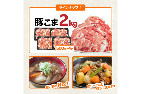 豚肉 宮崎県産豚肉 バラエティ セット 計4.5kg
