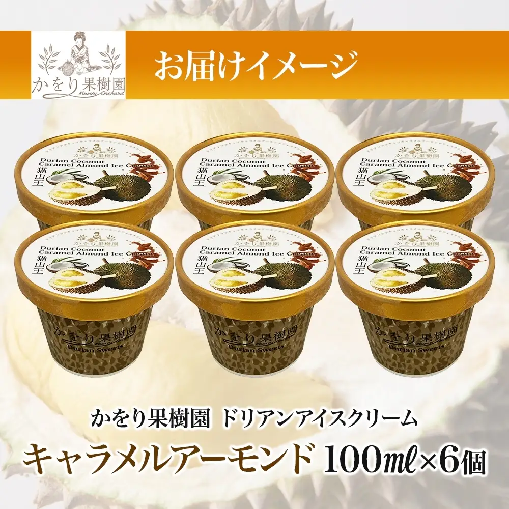 ドリアン ココナッツ キャラメルアーモンド アイスクリーム 100ml 6個 ココナッツ キャラメル