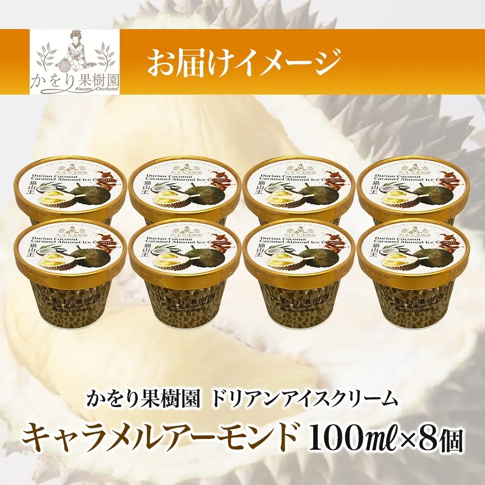ドリアン ココナッツ キャラメルアーモンド アイスクリーム 100ml 8個 ココナッツ キャラメル