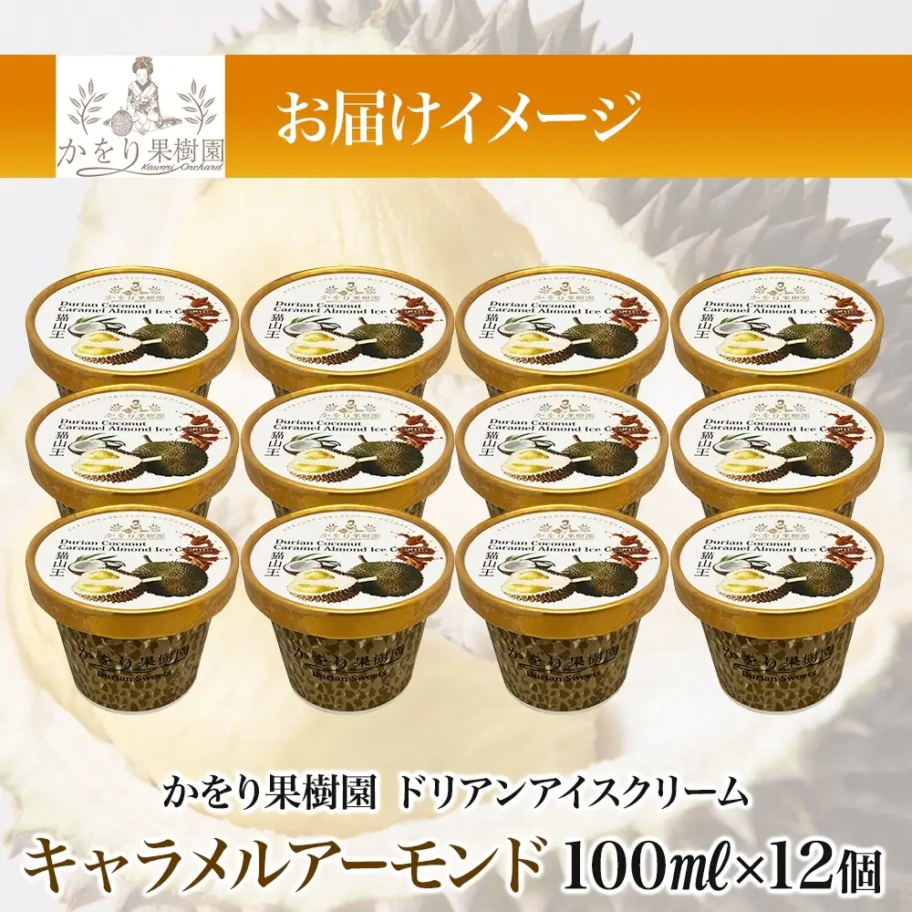 ドリアン ココナッツ キャラメルアーモンド アイスクリーム 100ml 12個 ココナッツ キャラメル
