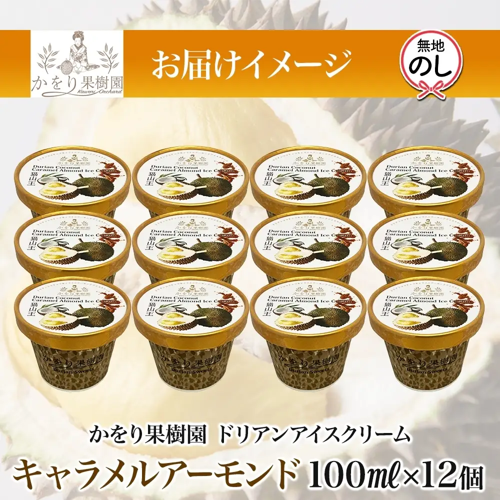 無地熨斗 ドリアン ココナッツ キャラメルアーモンド アイスクリーム 100ml 12個 ココナッツ キャラメル