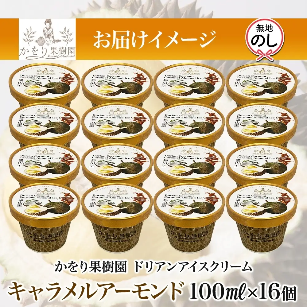 無地熨斗 ドリアン ココナッツ キャラメルアーモンド アイスクリーム 100ml 16個 ココナッツ キャラメル
