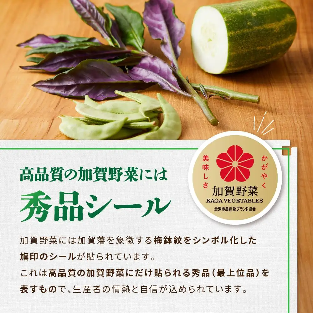 JA金沢市 季節の加賀野菜・金沢地物野菜セット 野菜詰め合わせ
