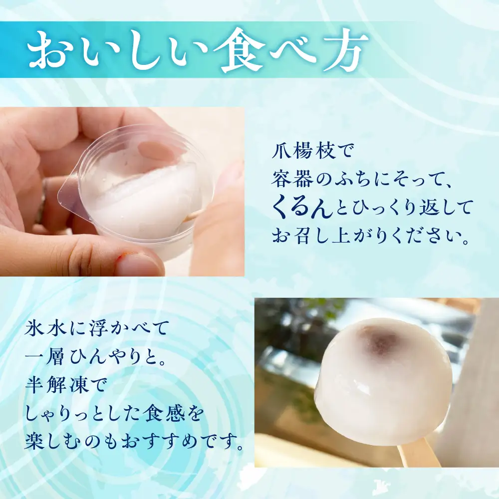 大垣名物 水まんじゅう 10個 【冷凍 季節限定 10月25日まで】　まんじゅう