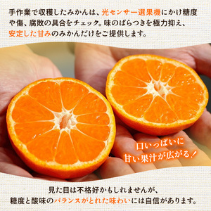 〈定期便〉【10・11・12月 全3回】家庭用 有田みかん定期便 10kg+250g（傷み補償分）※北海道・沖縄・離島への配送不可