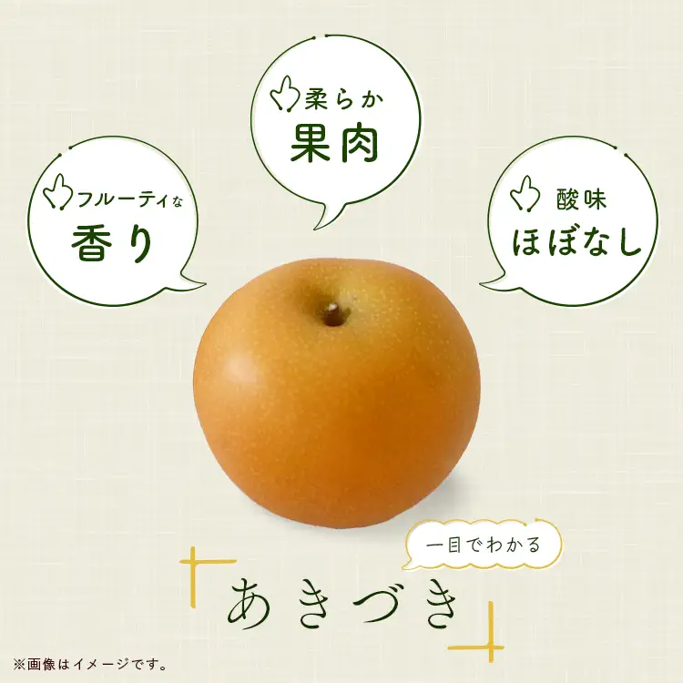 梨 あきづき 約3kg 梨 あきづき