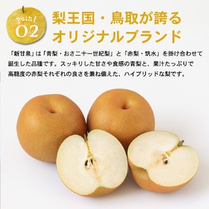 Y986 新甘泉(秀) 3L 3kg