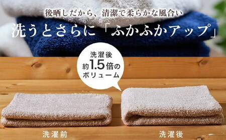 吸水力と肌触りが自慢のデイリーユース ロングタオル 6枚セット（2色選べるカラフルタオル） ｜ タオル