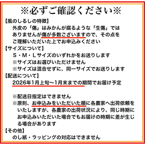 有田みかん「風のしるし」（約5kg）(B1051-1)