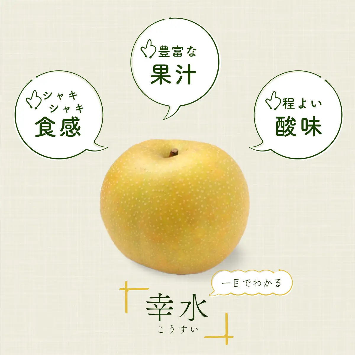 梨 幸水 約3kg 6玉～10玉 幸水
