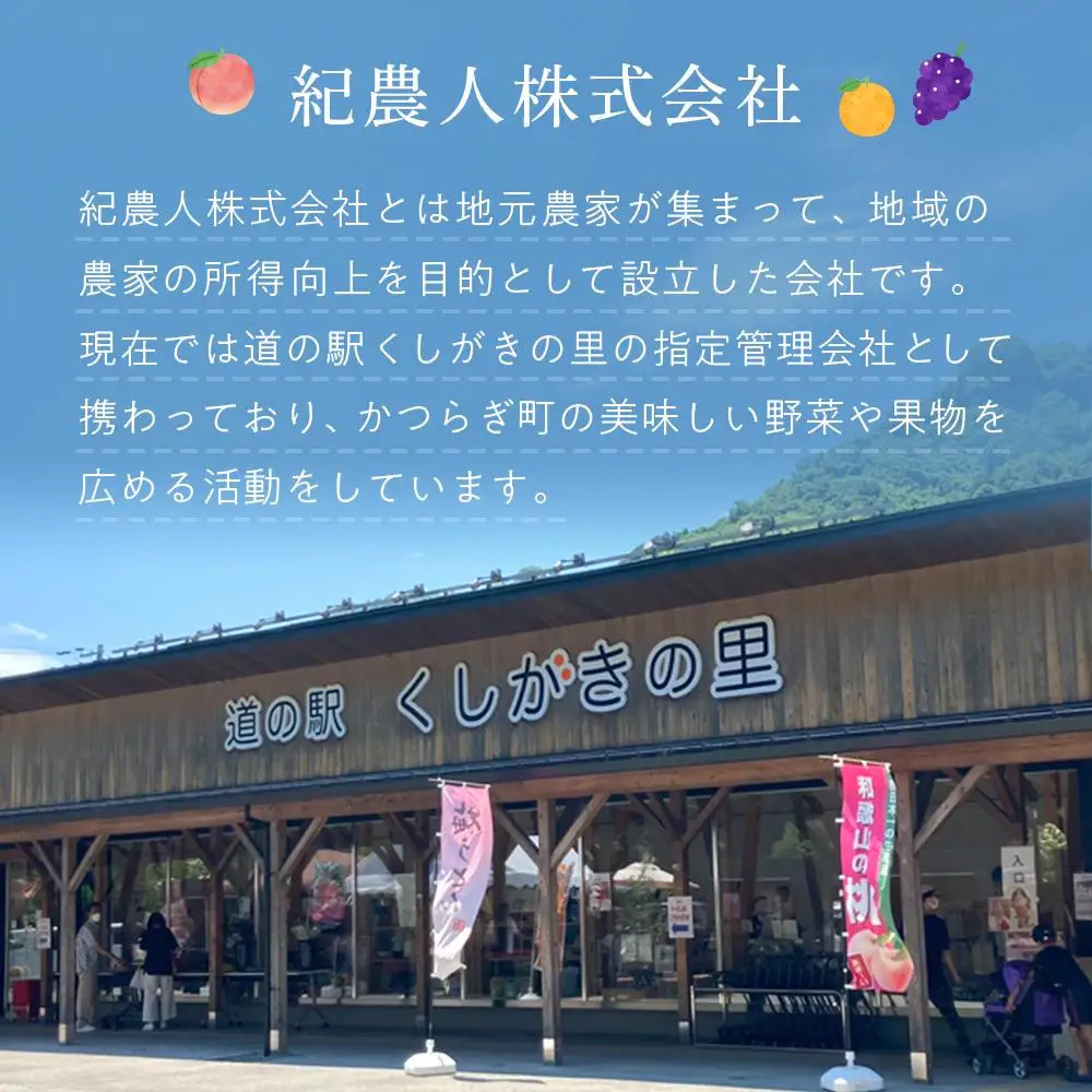 先行予約 まりひめいちご 15～20粒入×4パック 食べやすいひと口サイズ こだわり 農家厳選 ［KG32］