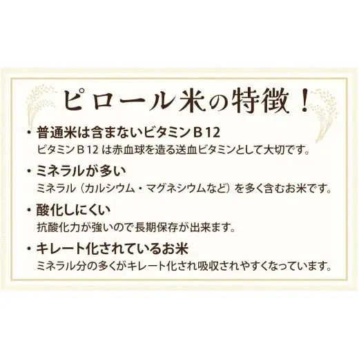 富山県滑川市産　弱アルカリ性米　「ピロール農法米　いのちの壱」玄米5kg【2025年10月中旬より順次発送】 / 産地直送 袋 ブランド米 お米 米 ご飯 ごはん 富山 滑川市 アグリめぐみ 農家直送 おこめ