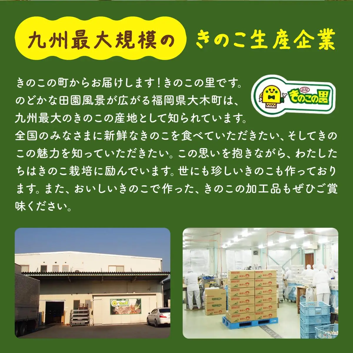 珍しいきのこ2種×5パックセット(ゆきれいたけ5パック・王リンギ5パック)　AT15