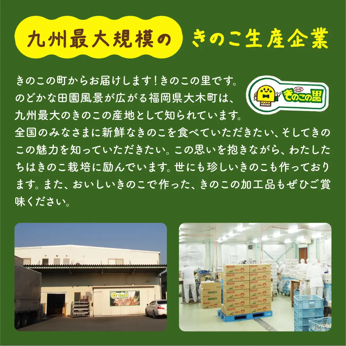 珍しいきのこ 王リンギ5パック　AT18